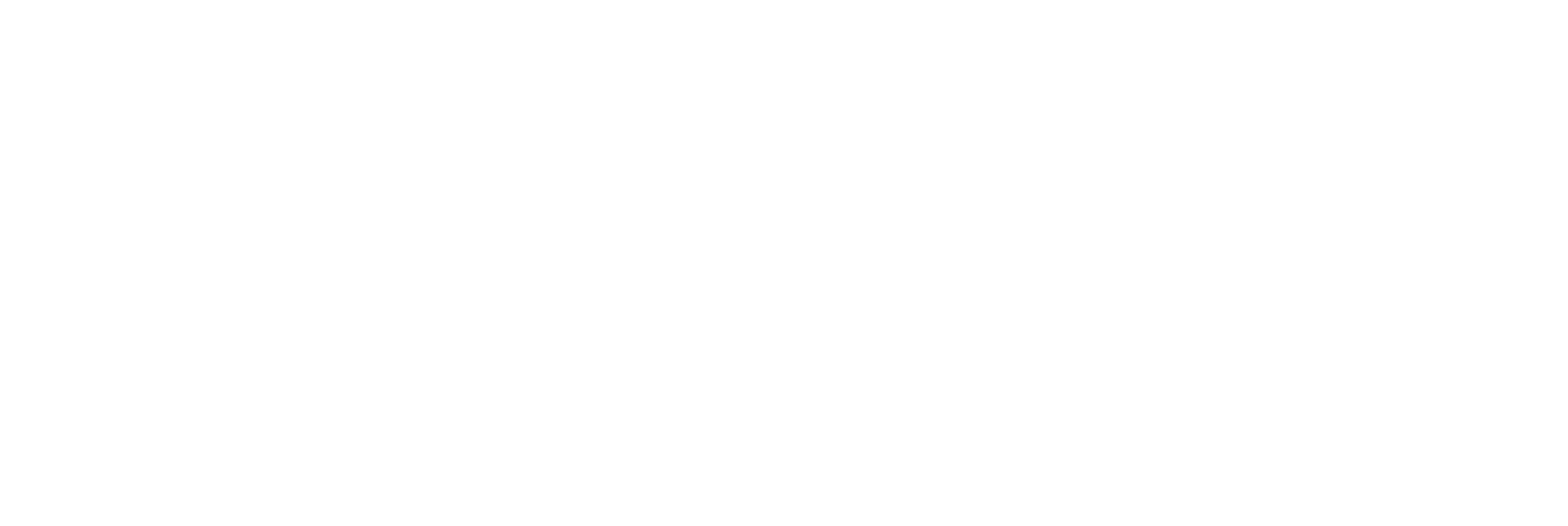 TLN Advisory — Transformation, Technology & Risk